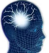 Caffeine Metabolism Caffeine Metabolism