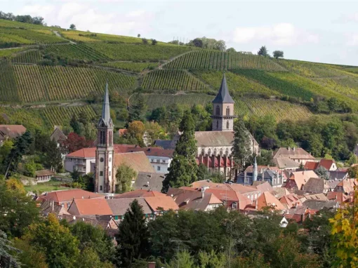 M&M’s causing a buzz M&M’s causing a buzz