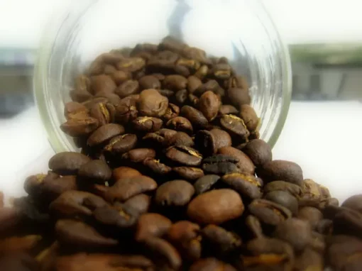 Turning Used Coffee Grounds into Booze Turning Used Coffee Grounds into Booze