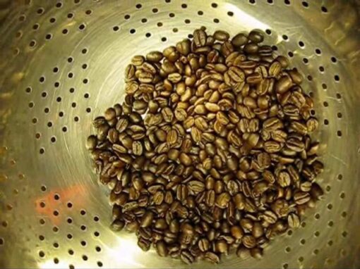 CaffiNation on TPN Weekly #27 CaffiNation on TPN Weekly #27