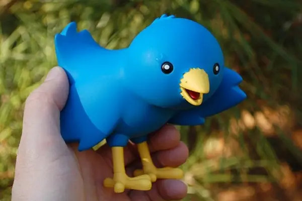 The Real Twitter Bird