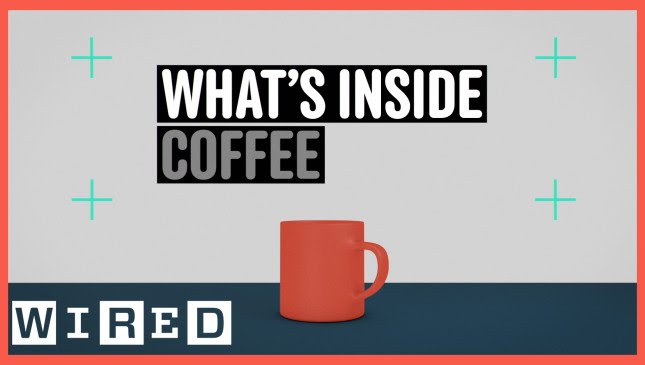 What’s Inside A Cup of Coffee What’s Inside A Cup of Coffee