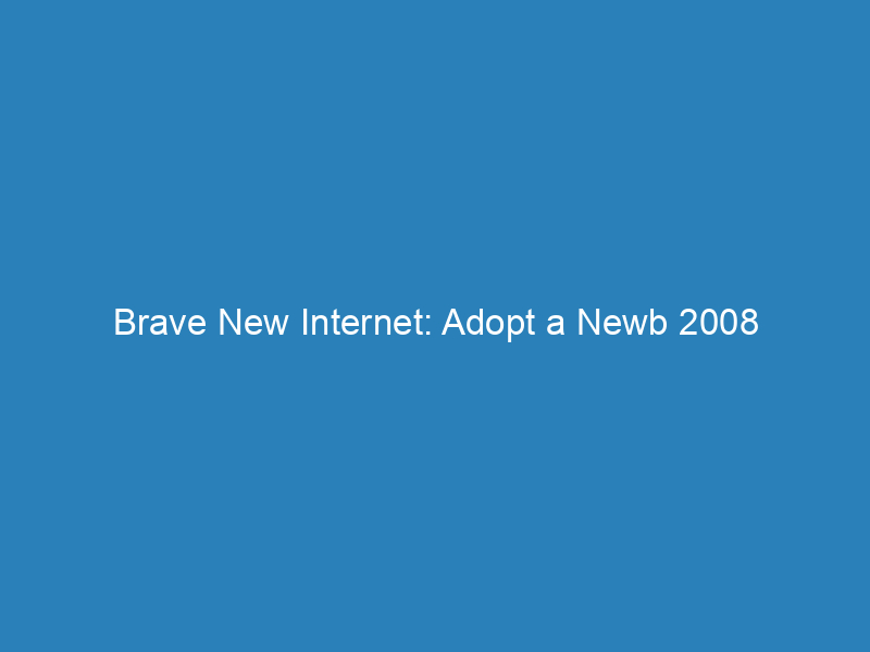 Brave New Internet: Adopt a Newb 2008
