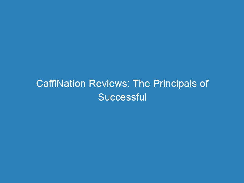 CaffiNation Reviews: The Principals of Successful Freelancing