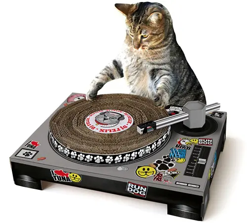 DJ Kitty
