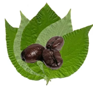 Greening it Up Earth Day Style